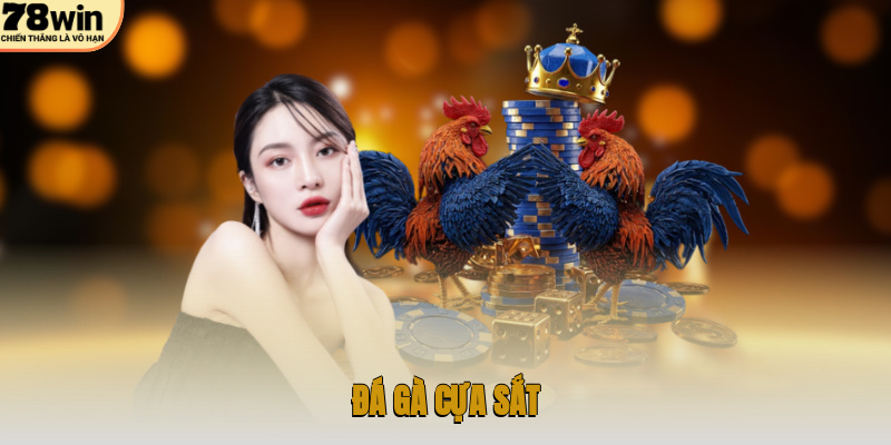 Đá gà cựa sắt