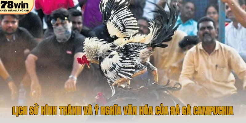 Lịch sử hình thành và ý nghĩa văn hóa của đá gà Campuchia