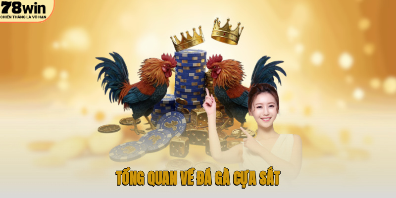Tổng quan về đá gà cựa sắt
