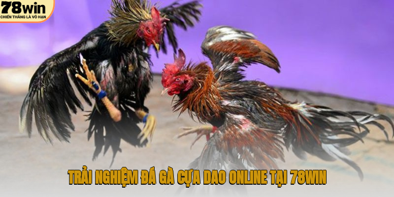 Trải nghiệm đá gà cựa dao online tại 78WIN