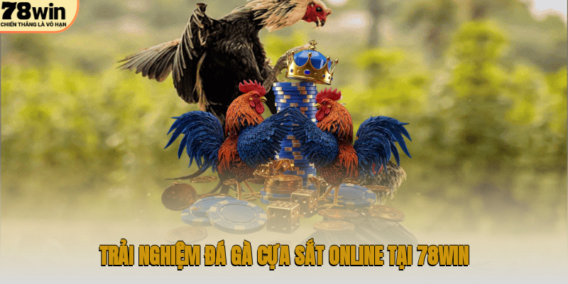 Trải nghiệm đá gà cựa sắt online tại 78WIN